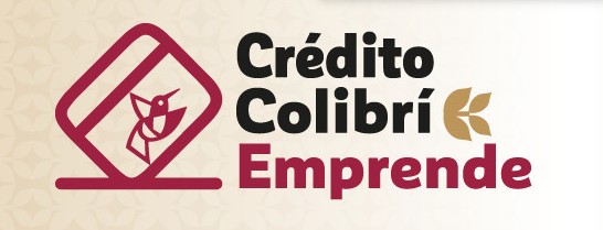 Imagen institucional del programa público Crédito Colibrí en el Estado de México. 